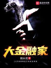 大金融家TXT