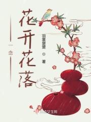 一念花开花落是什么歌