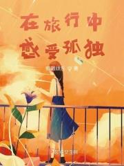 在旅行中感受孤独的作文