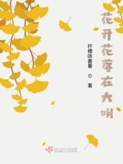 歌词找歌名花开花落