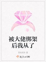 大佬绑架100天叫什么