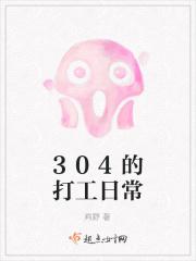 304 l