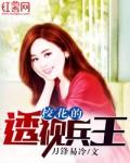 校花的透视兵王主人林逍遥