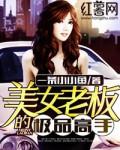 美女总裁的极品高手免费阅读手