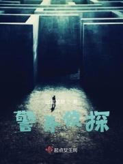 侦探在警察局的是什么职位