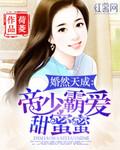婚然天成叶少宠不停晴子