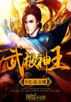 武极神王人物
