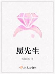 愿望先生能打曼海姆吗