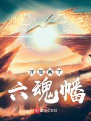开局吞了六魂幡 小小索罗亚克