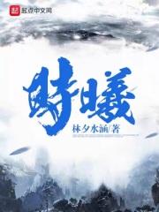 时曦沈晔沈郁