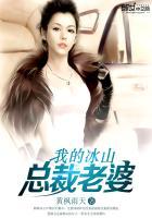 我的冰山总裁老婆林雪李清风