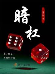 暗杠什么意思