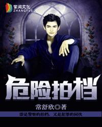 危险拍档电子书