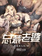 我的冷艳总裁老婆夫人