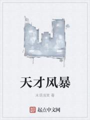 天才疯子电视剧