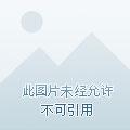 超级龙王归来免费全集