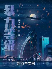 暴力的分类包括