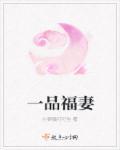 一品夫人是谁