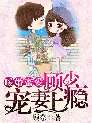 暖婚蜜爱顾少修免费阅读