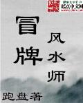 假风水大师