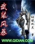 武装风暴介绍