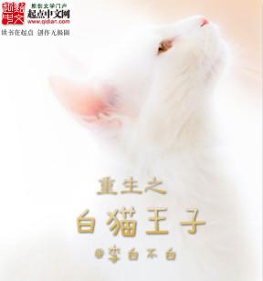 白猫王子的读后感