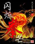 拳拳蛸闪光
