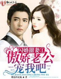 闪婚甜妻高冷老公陪陪