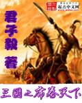 三国时代1