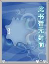 都市之超品医圣叶辰