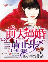 一胎双胞总裁宠妻无度免费读