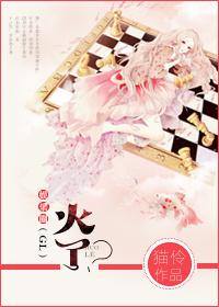 娱乐圈小火花