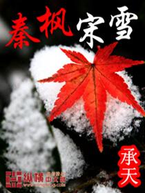 丹青劫txt