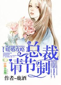 暖婚总裁100分布桐免费txt