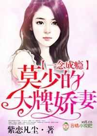 男主角叫莫少