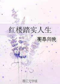 红楼梦人生