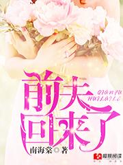 前夫回来了全集完整版