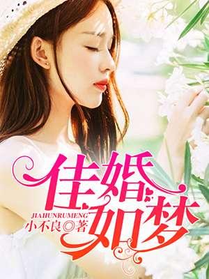 佳妻如梦什么意思