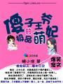 傻王的极品王妃