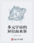 多元宇宙解释