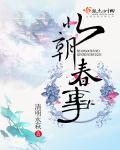 北朝实录