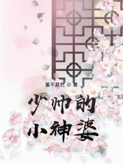 少帅的神秘妻