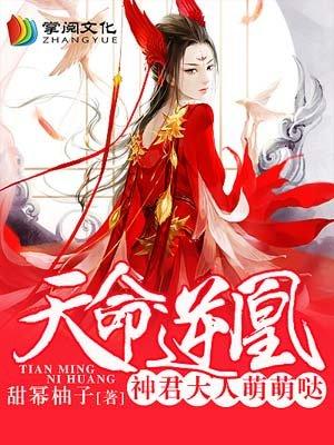 笔趣阁天命逆凰