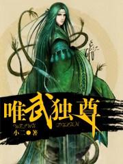 唯武独尊简介