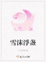 雪盏的意思
