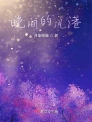 歌词 夜晚的风