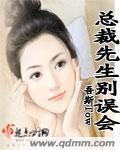 总裁先生别放肆