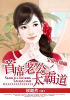 全球盛宠夫人画风不对免费阅读