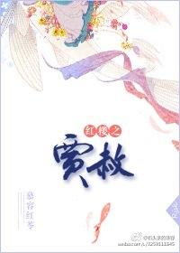 红楼之贾赦的皇孙
