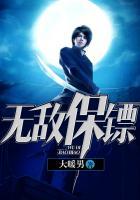保镖无双